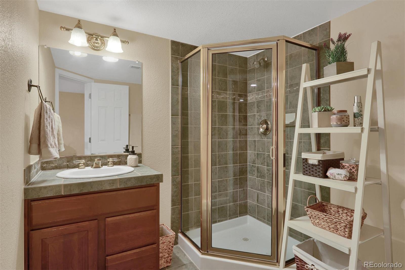 10115 Spring Water Court Highlands Ranch, CO 80129 - Photo 29 of 35 a bathroom with a shower sink and mirror