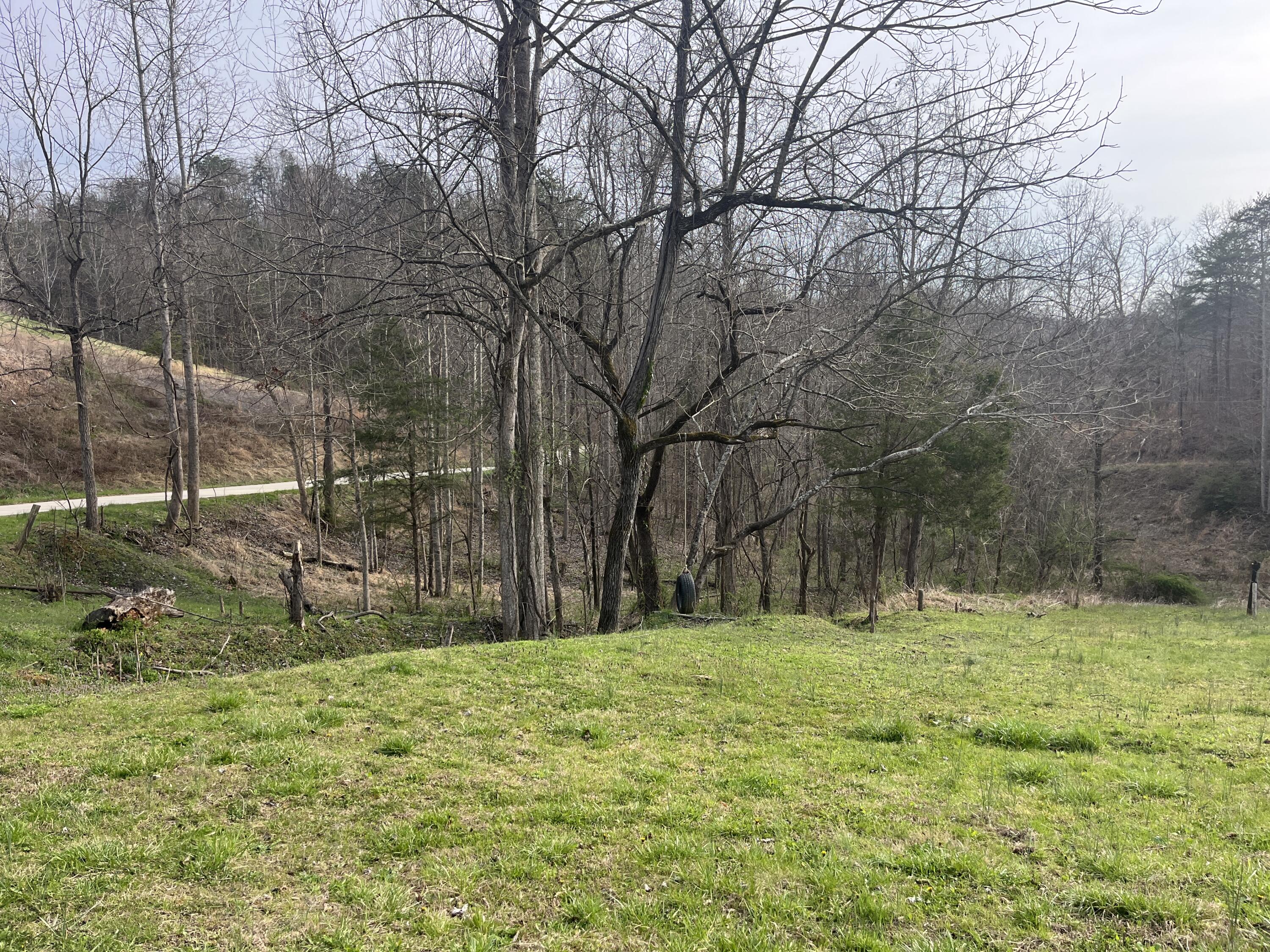 617 Walk Log Branch Road Jackson, KY 41339 - Photo 23 of 57 IMG_0482