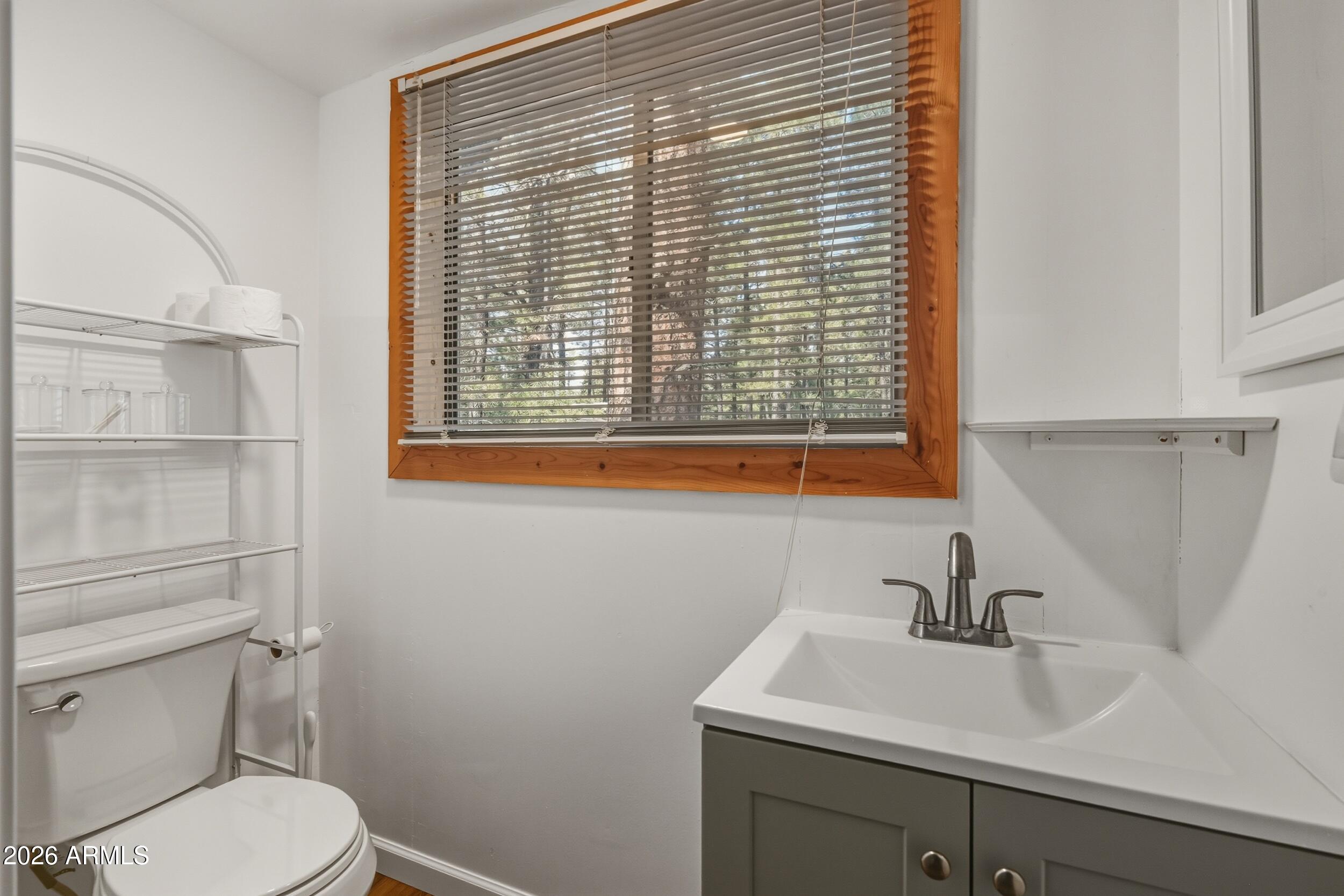 463 Long Valley Road Happy Jack, AZ 86024 - Photo 15 of 25 a bathroom with a sink a toilet and a mirror