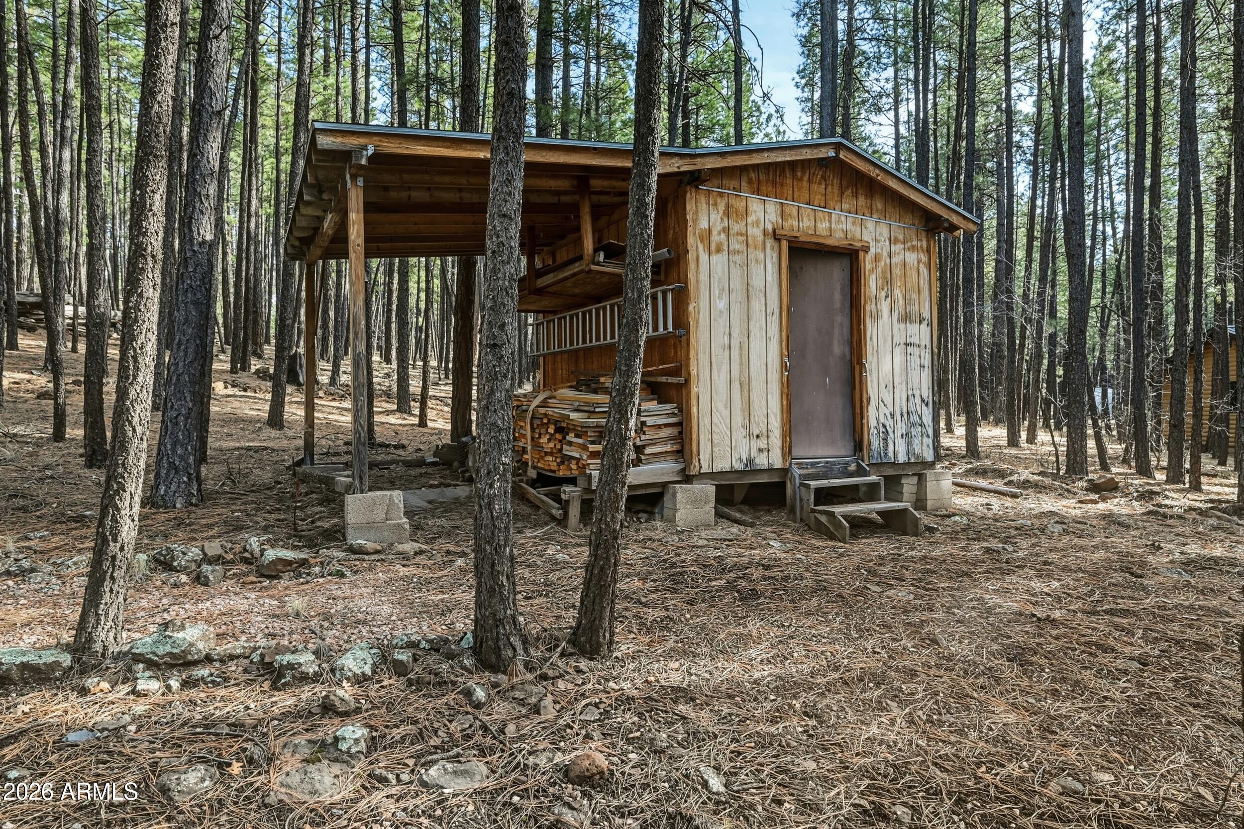 463 Long Valley Road Happy Jack, AZ 86024 - Photo 25 of 25 a front view of a house with tree s
