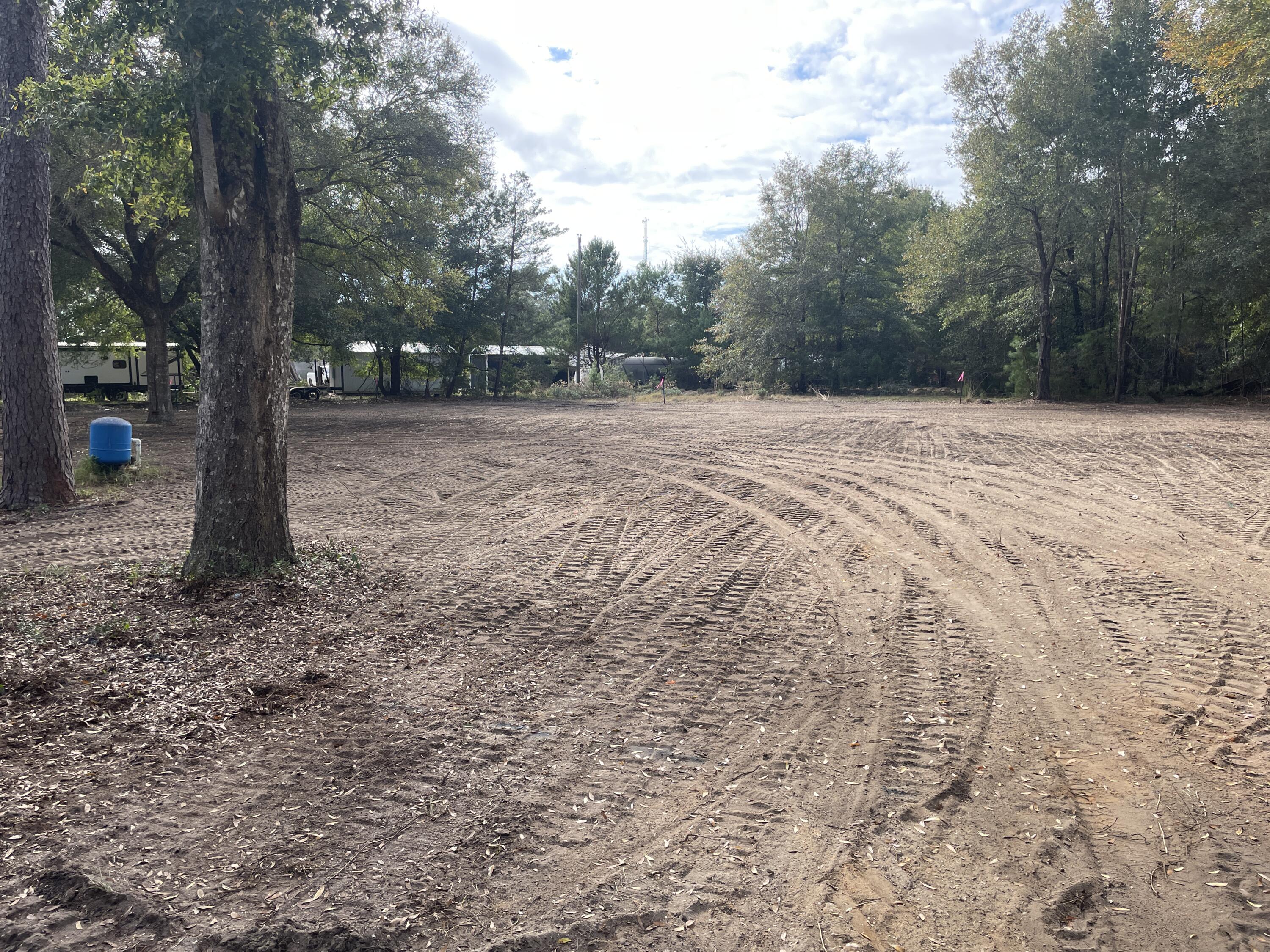 107 Marie Drive Santa Rosa Beach, FL 32459 - Photo 2 of 6 a view of backyard with tree