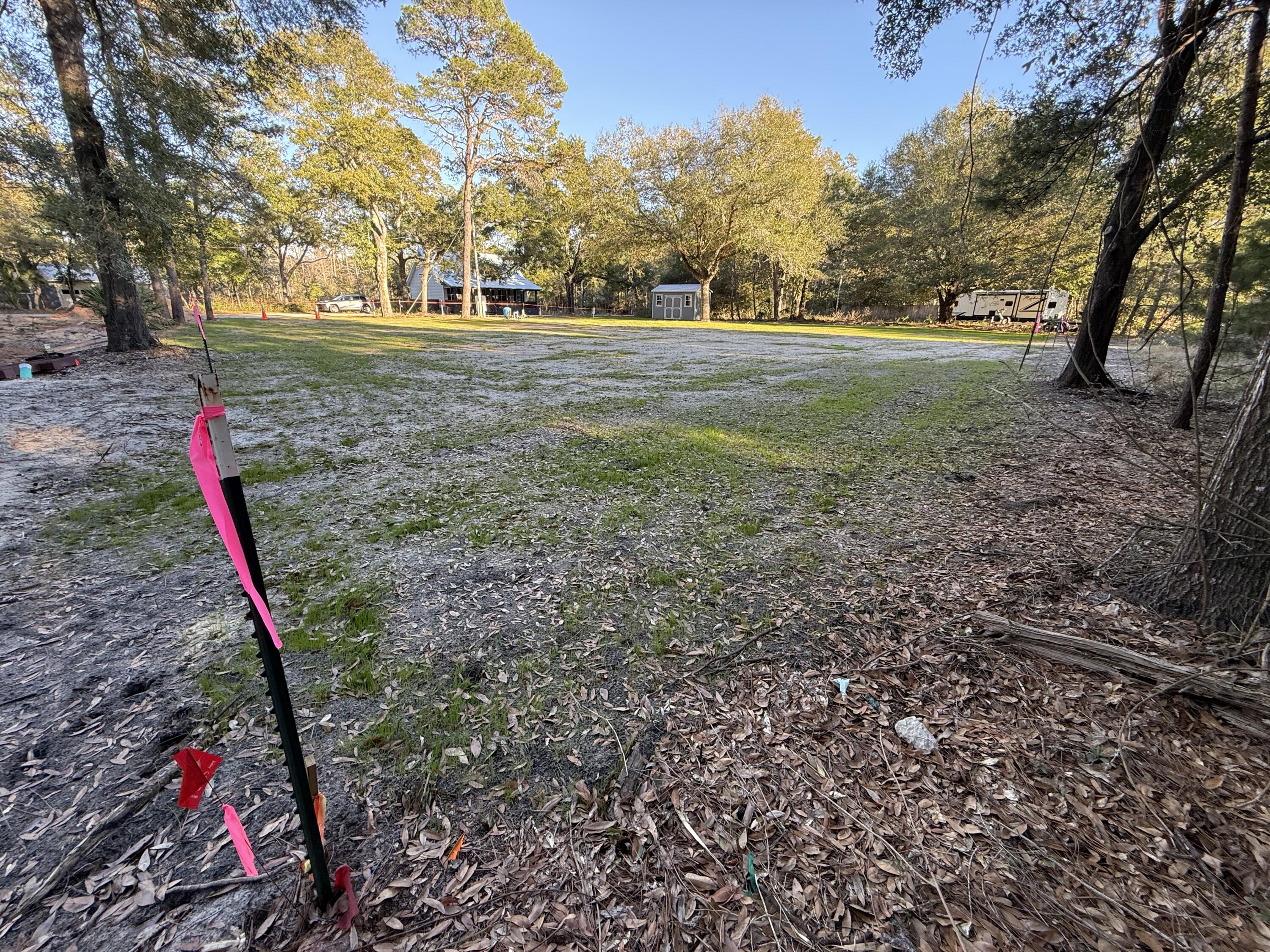107 Marie Drive Santa Rosa Beach, FL 32459 - Photo 4 of 6 a view of outdoor space with trees