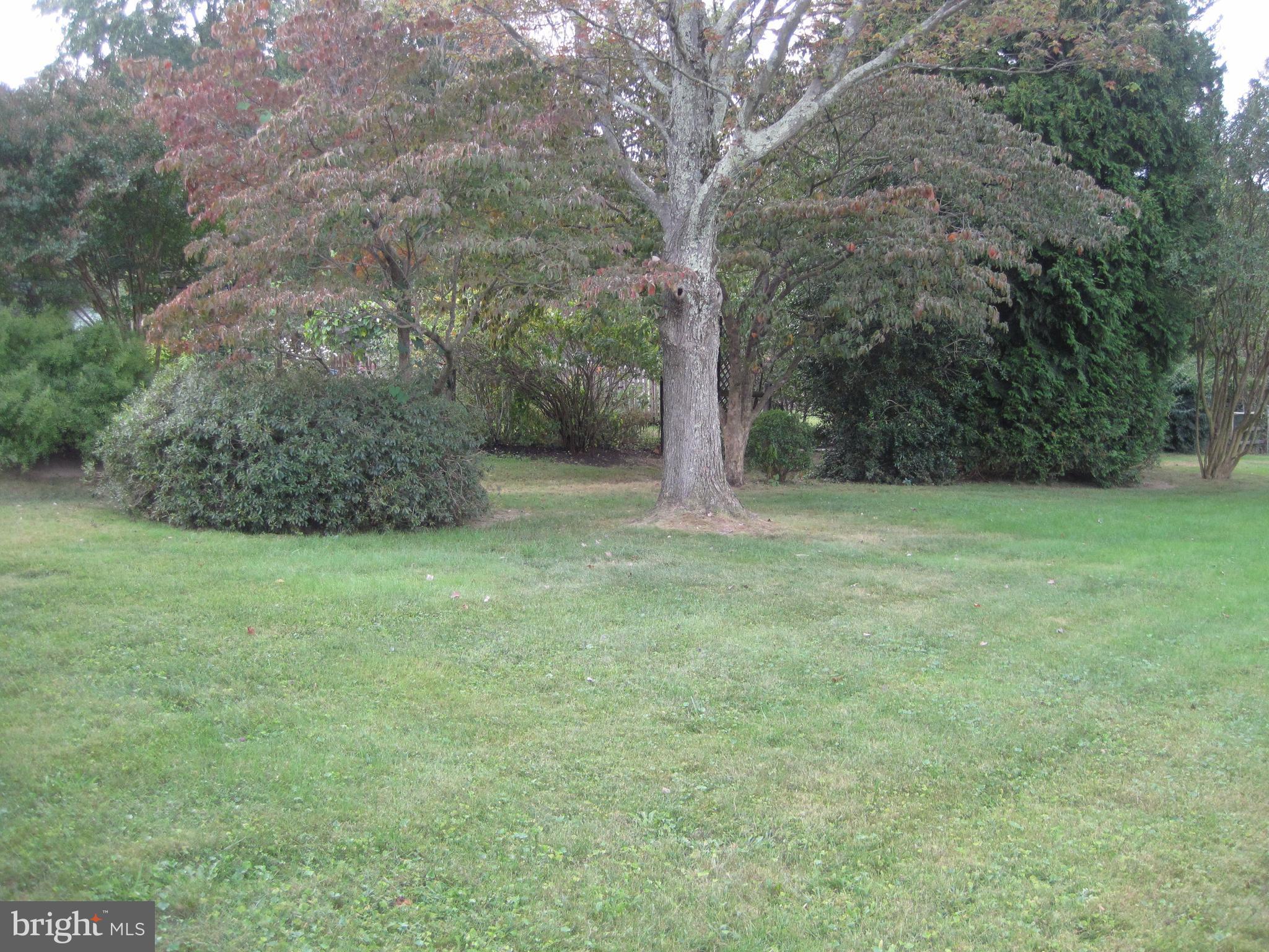 10012 Magledt Road Baltimore, MD 21234 - Photo 15 of 18 View