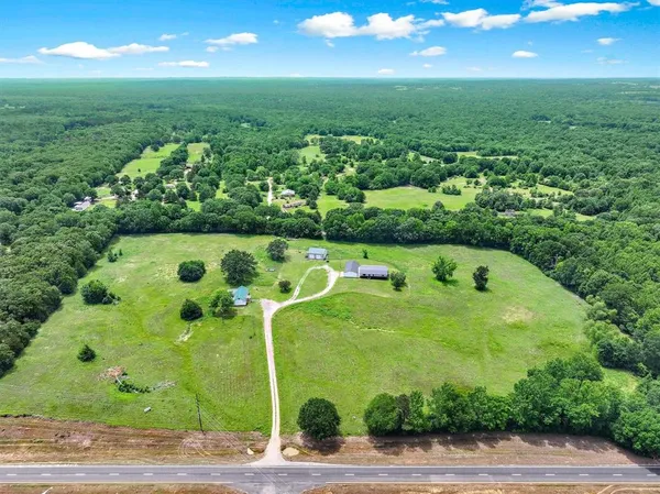 a picture of a big yard with plants and large tree