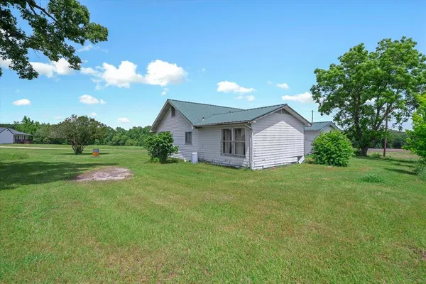 a view of a backyard with plants and large trees