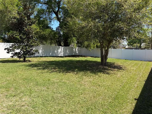 a view of a yard with large trees