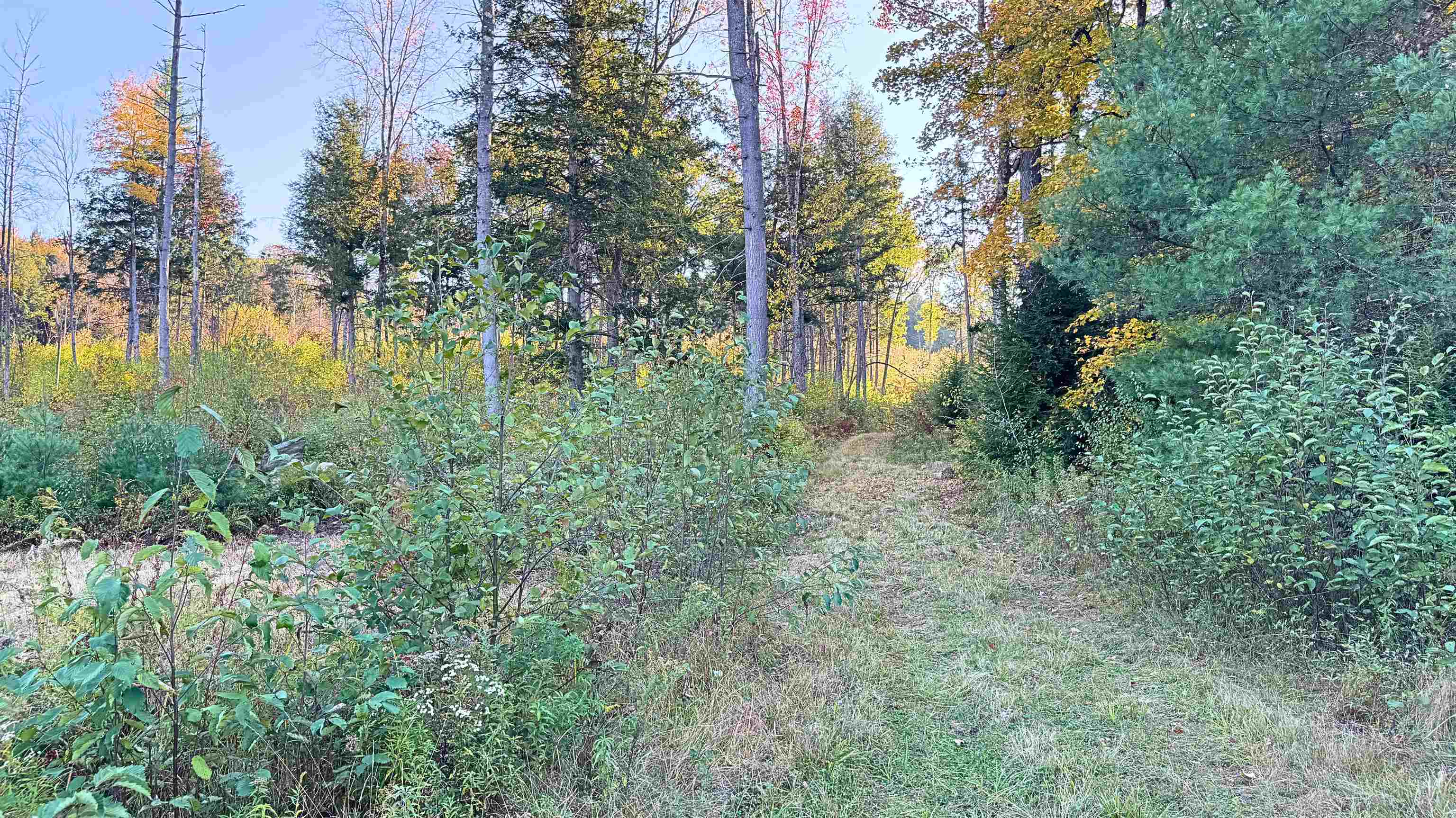 197 Baker Road Springfield, VT 05156 - Photo 10 of 37