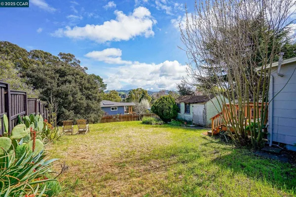 a view of a backyard with plants and large tree