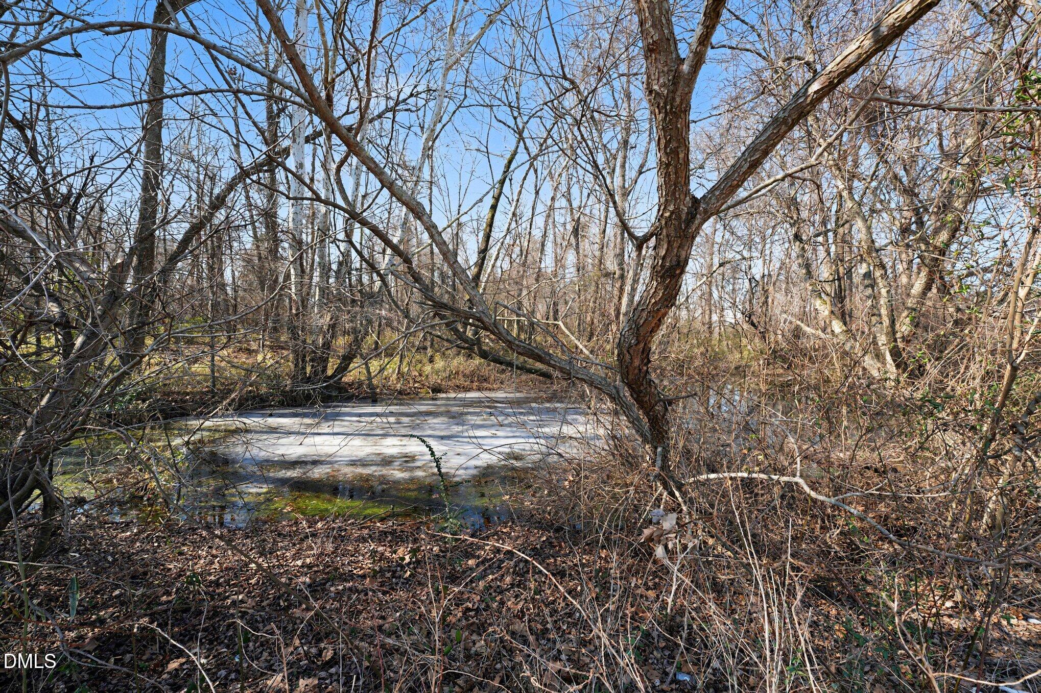 3038 Brogden Road Smithfield, NC 27577 - Photo 17 of 38 a view of yard covered with snow