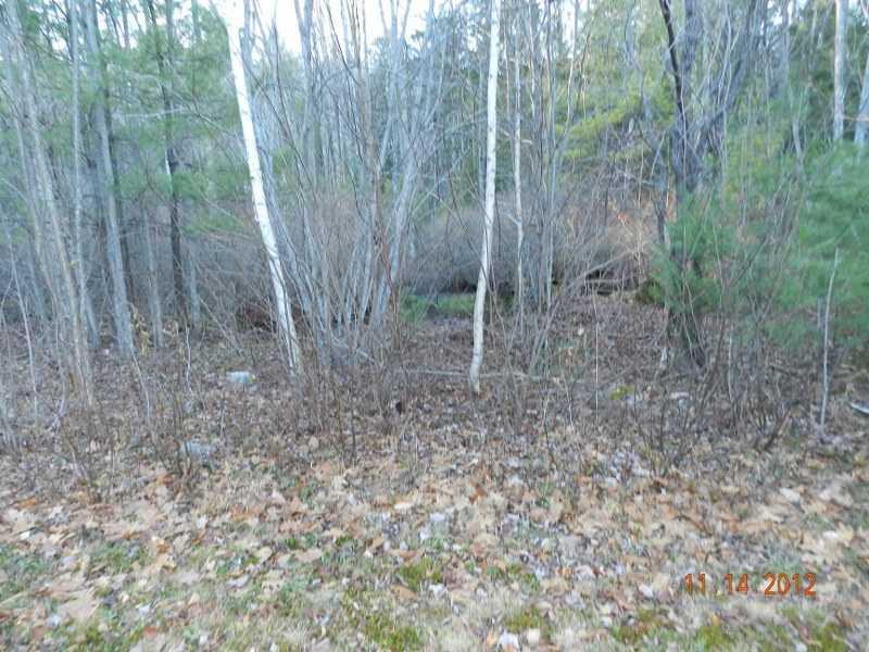 440 Sebago Road Sebago, ME 04029 - Photo 14 of 14 Yard/Garden.