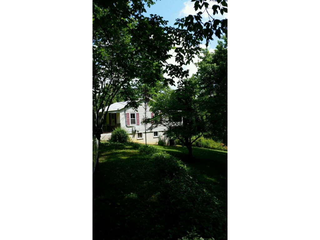 944 Egypt Road Bluff City, TN 37618 - Photo 3 of 17 Mature Trees