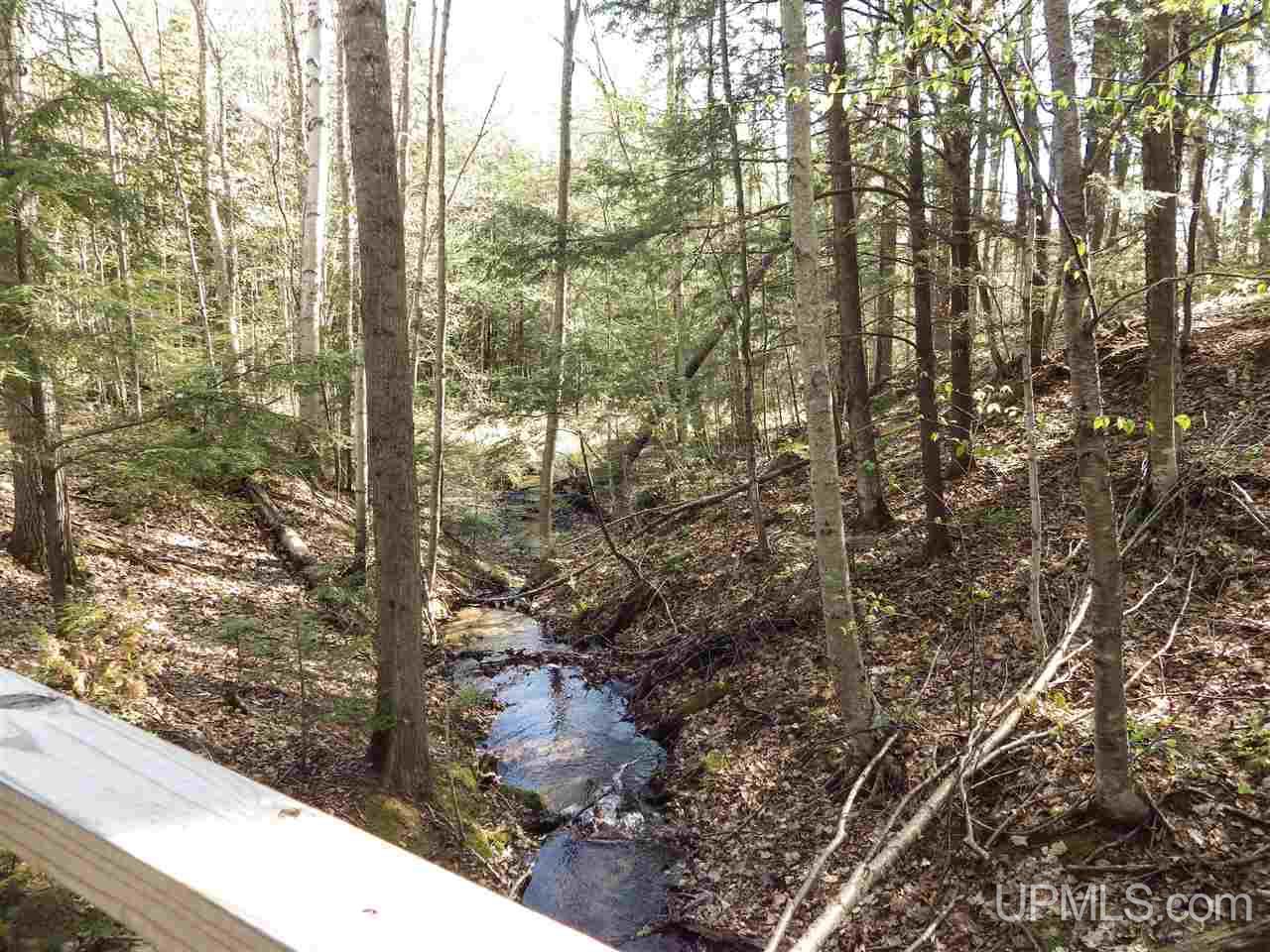 30 Acres Off Grove Street Marquette, MI 49855 - Photo 4 of 22