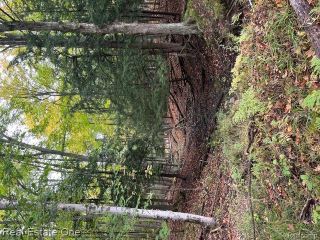 0 West Berry Road Sterling, MI 48659 - Photo 26 of 33