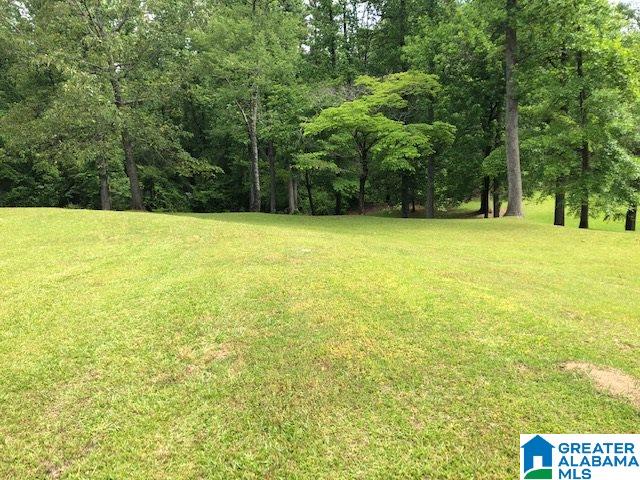 5045 Hollis Goodwin Road Dora, AL 35062 - Photo 37 of 38