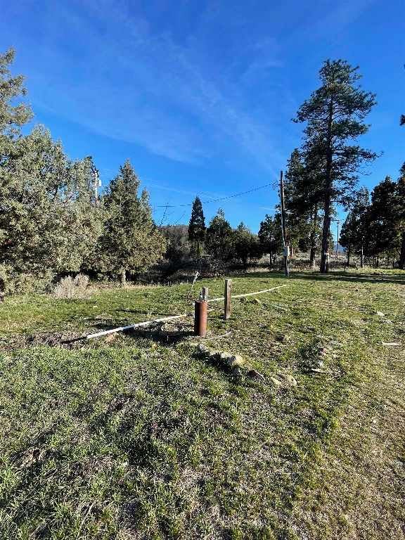 25408 Edgewood Road Weed, CA 96094 - Photo 3 of 15 Gallery Image 3
