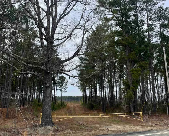 $675,000 | Tbd Rocky Ford Road, Salters, SC 29590