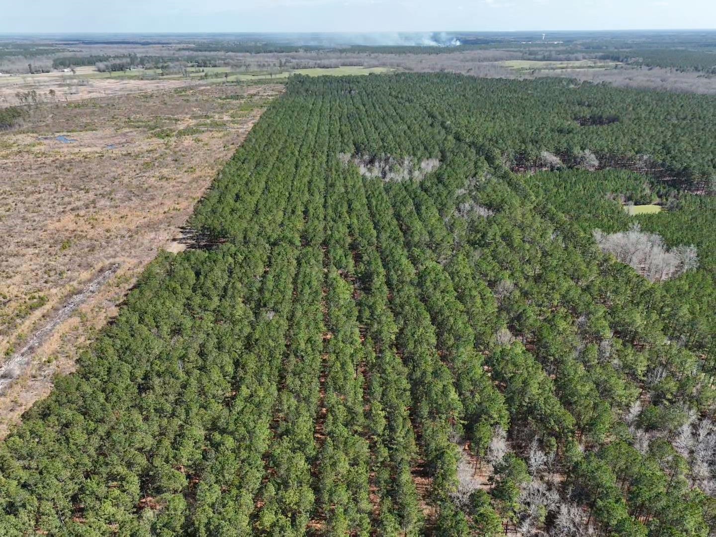 Tbd Rocky Ford Road Salters, SC 29590 - Photo 11 of 13