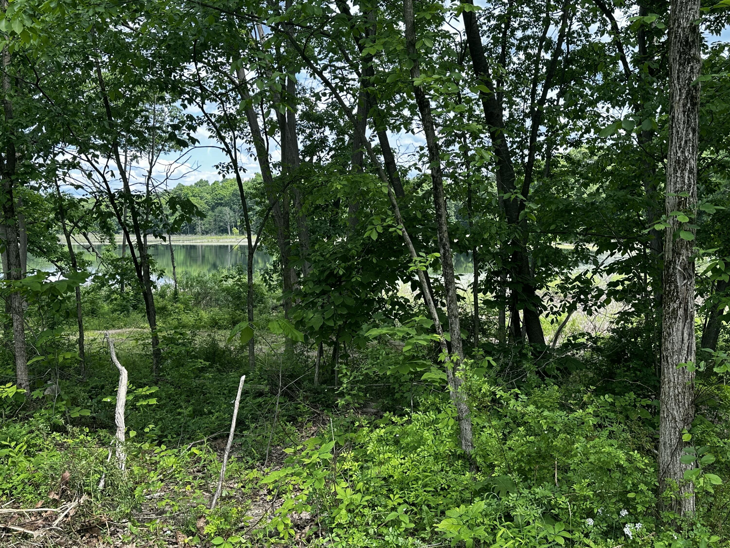 South Norris Road Delton, MI 49046 - Photo 8 of 13 IMG_0961 2