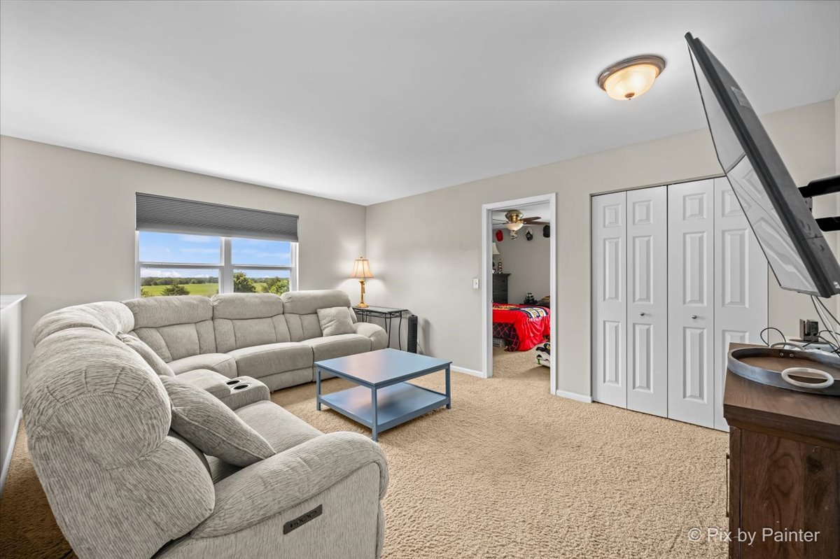 909 Avalon Way Minooka, IL 60447 - Photo 19 of 44