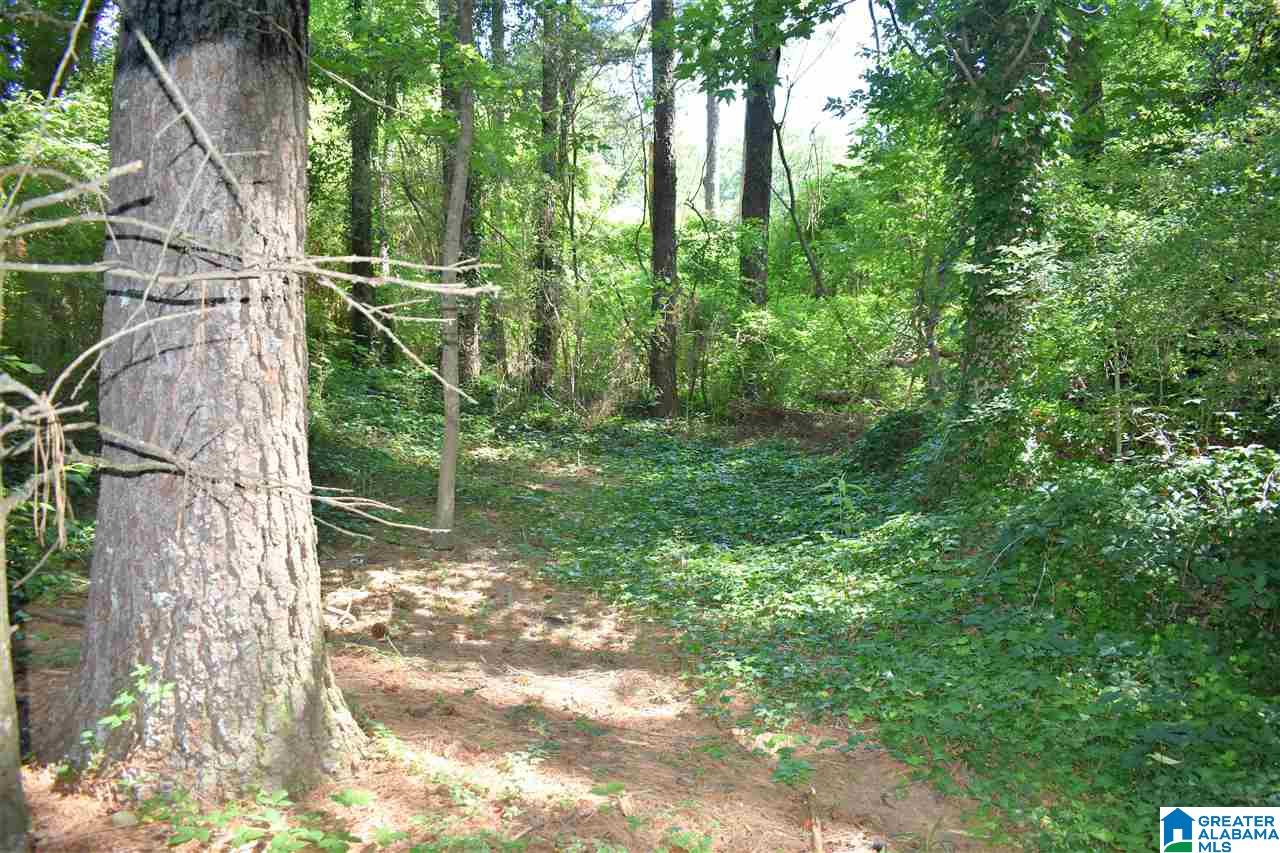 5429 J J R Drive Birmingham, AL 35235 - Photo 26 of 32
