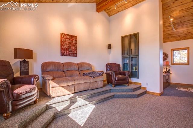 1115 Splendor Point Divide, CO 80814 - Photo 18 of 40