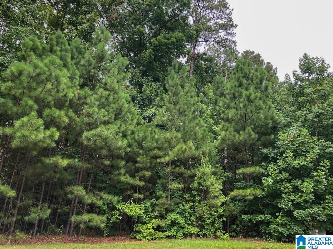 1091 Stagg Run Trail Pelham, AL 35124 - Photo 4 of 6