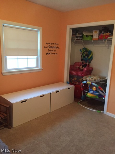 7328 Case Road North Ridgeville, OH 44039 - Photo 19 of 26