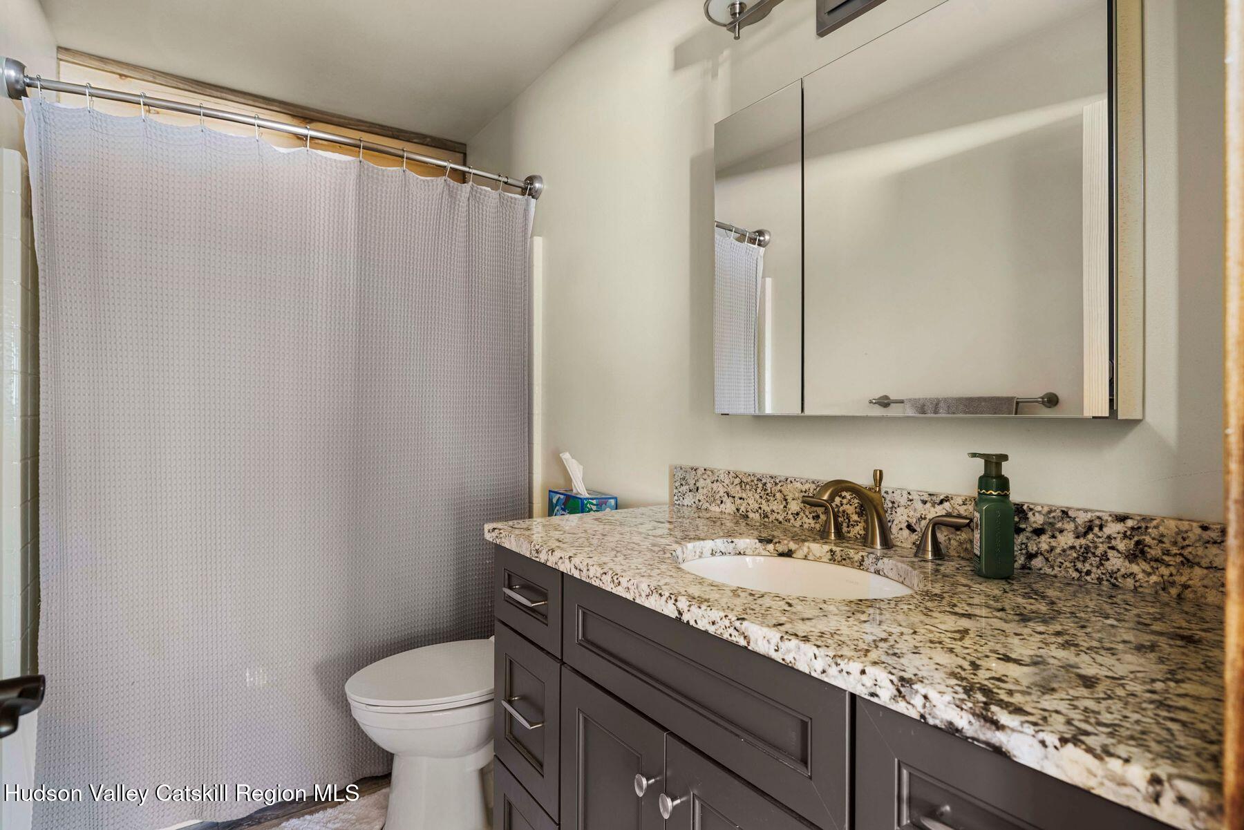 42 North Ridge Extension Windham, NY 12496 - Photo 33 of 72 photo_online_050