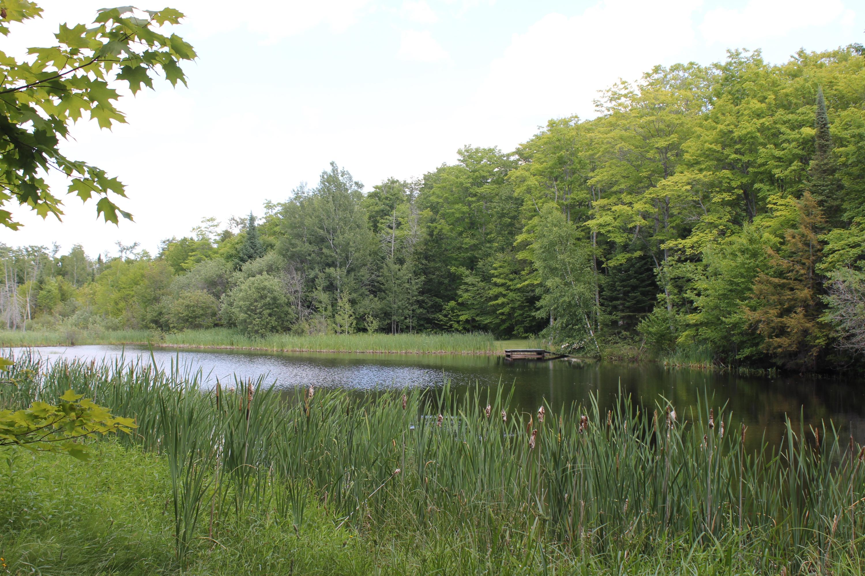 982 West 12 Mile Road Dafter, MI 49724 - Photo 21 of 47 Gallery Image 21