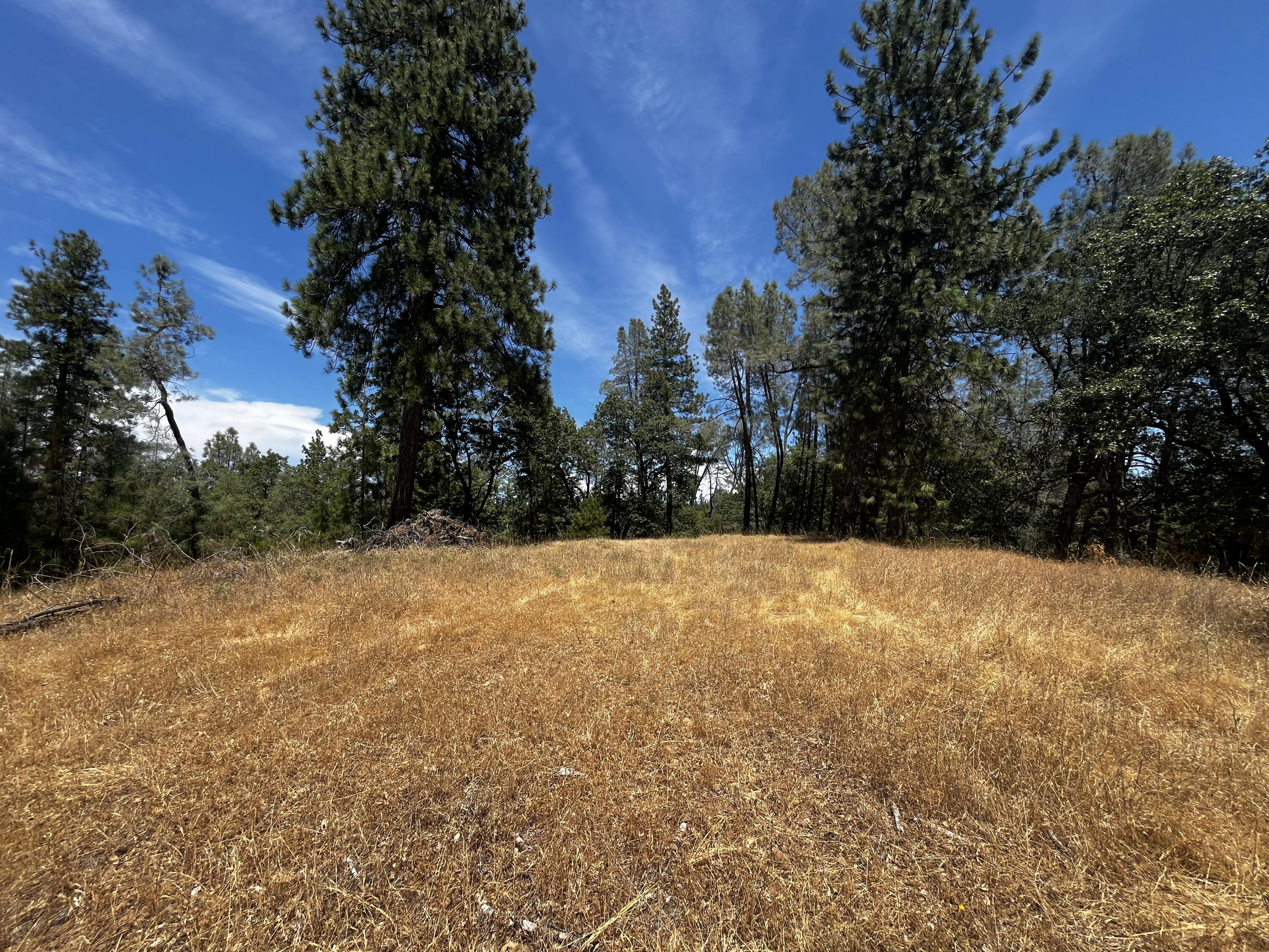 Backbone Road Bella Vista, CA 96008 - Photo 3 of 12 a view of outdoor space and yard