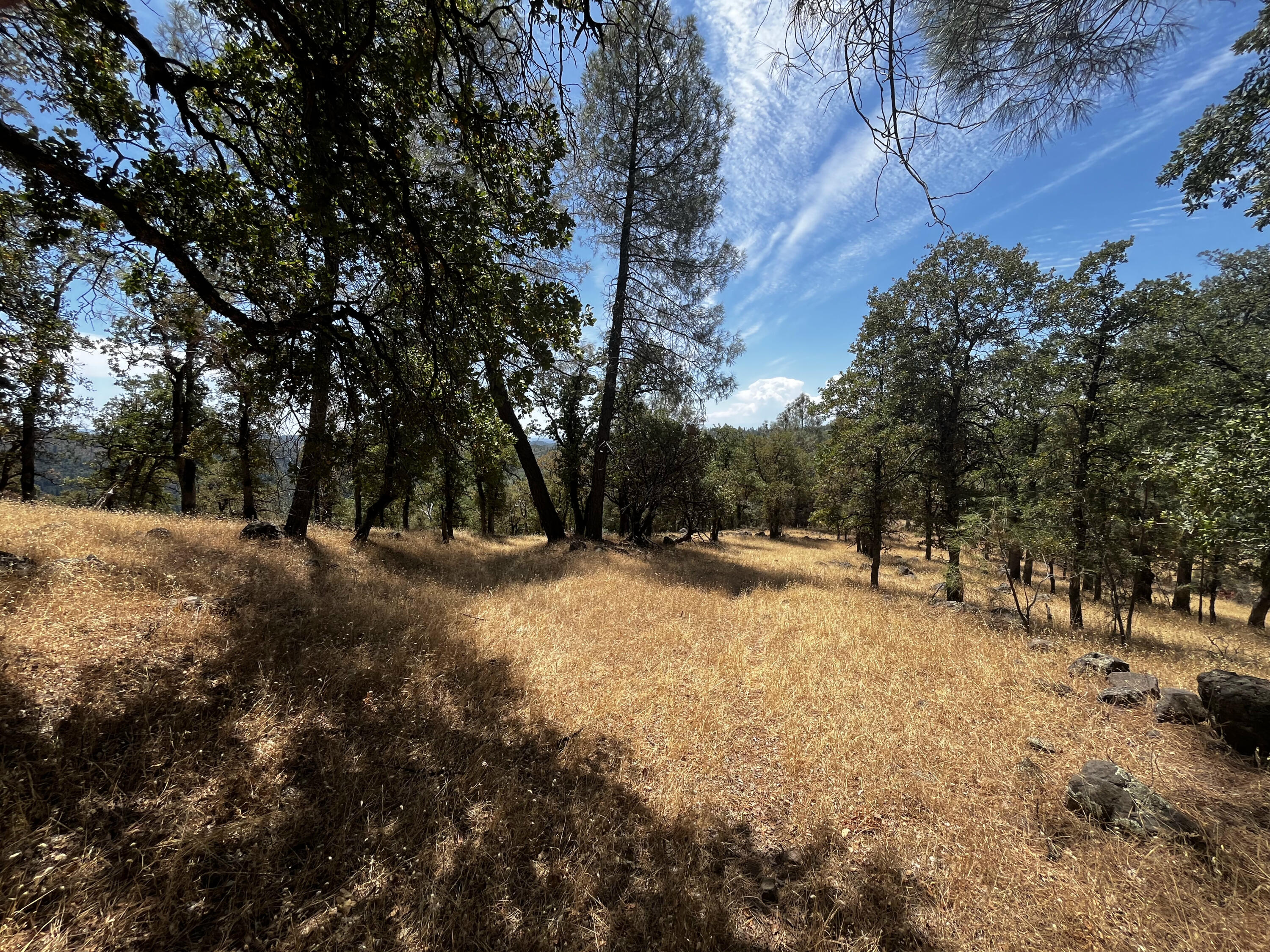 Backbone Road Bella Vista, CA 96008 - Photo 5 of 12