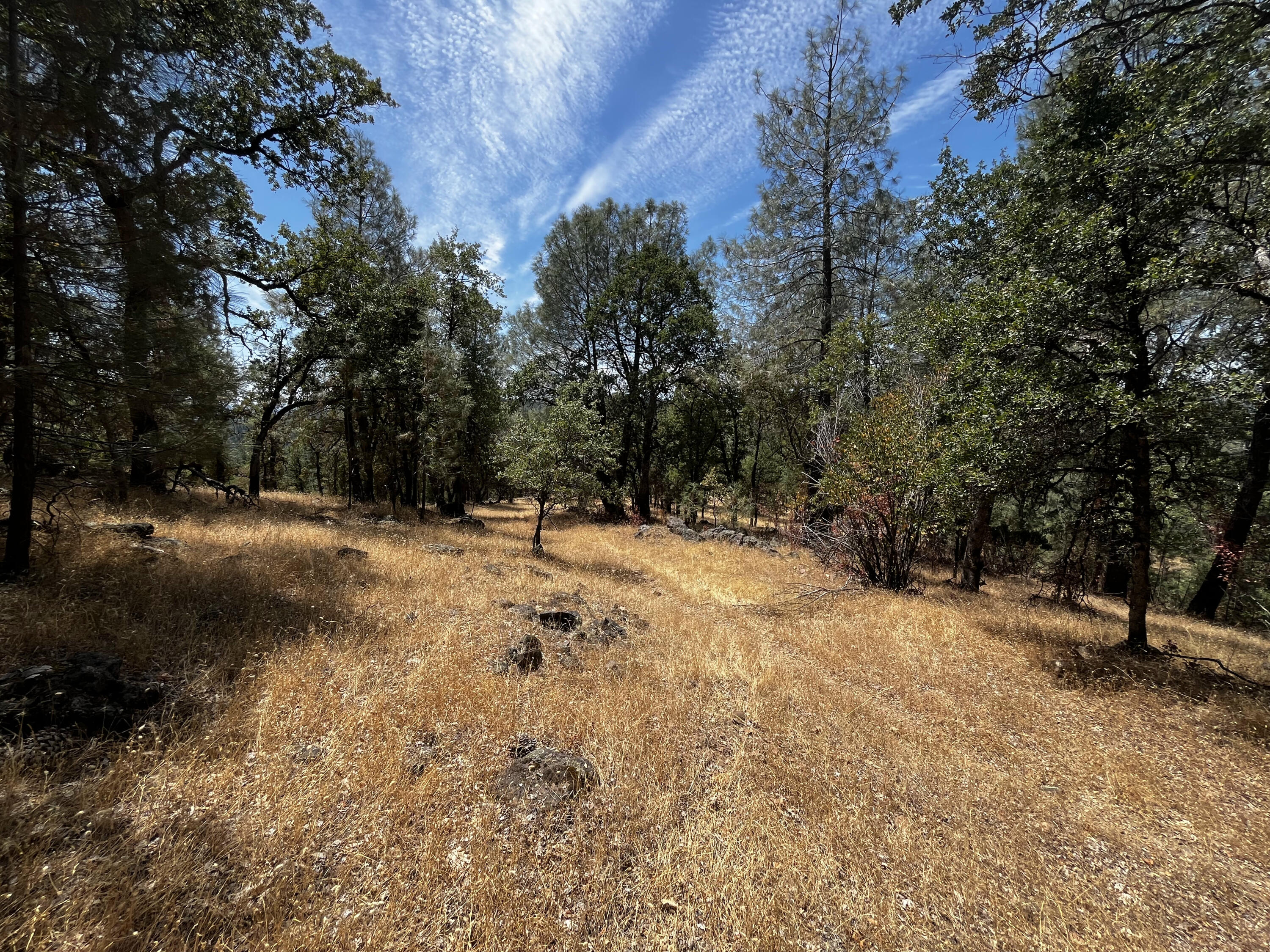Backbone Road Bella Vista, CA 96008 - Photo 8 of 12 a view of outdoor space with trees