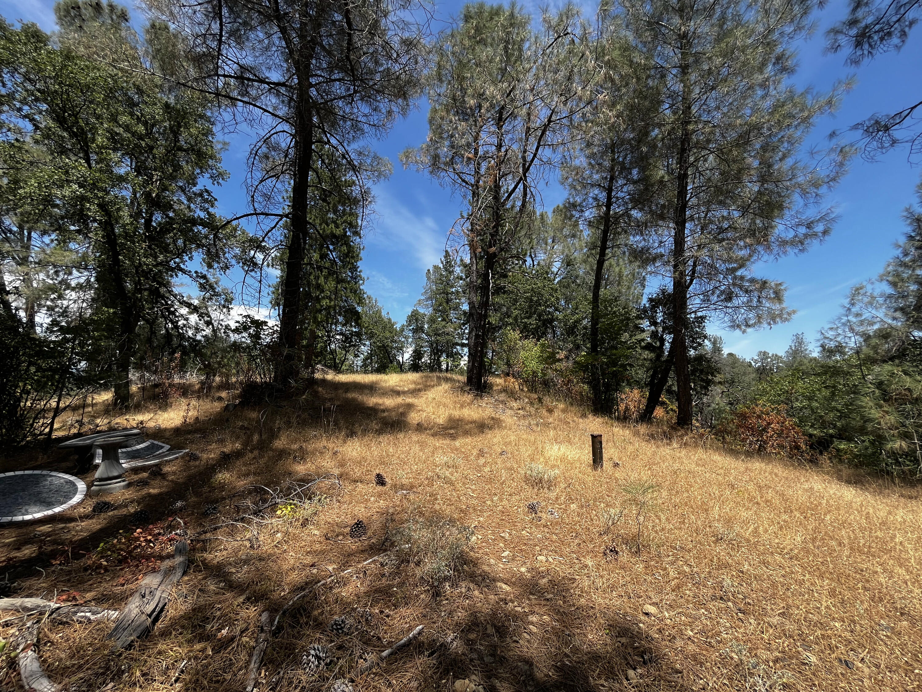 Backbone Road Bella Vista, CA 96008 - Photo 10 of 12 a view of outdoor space with trees