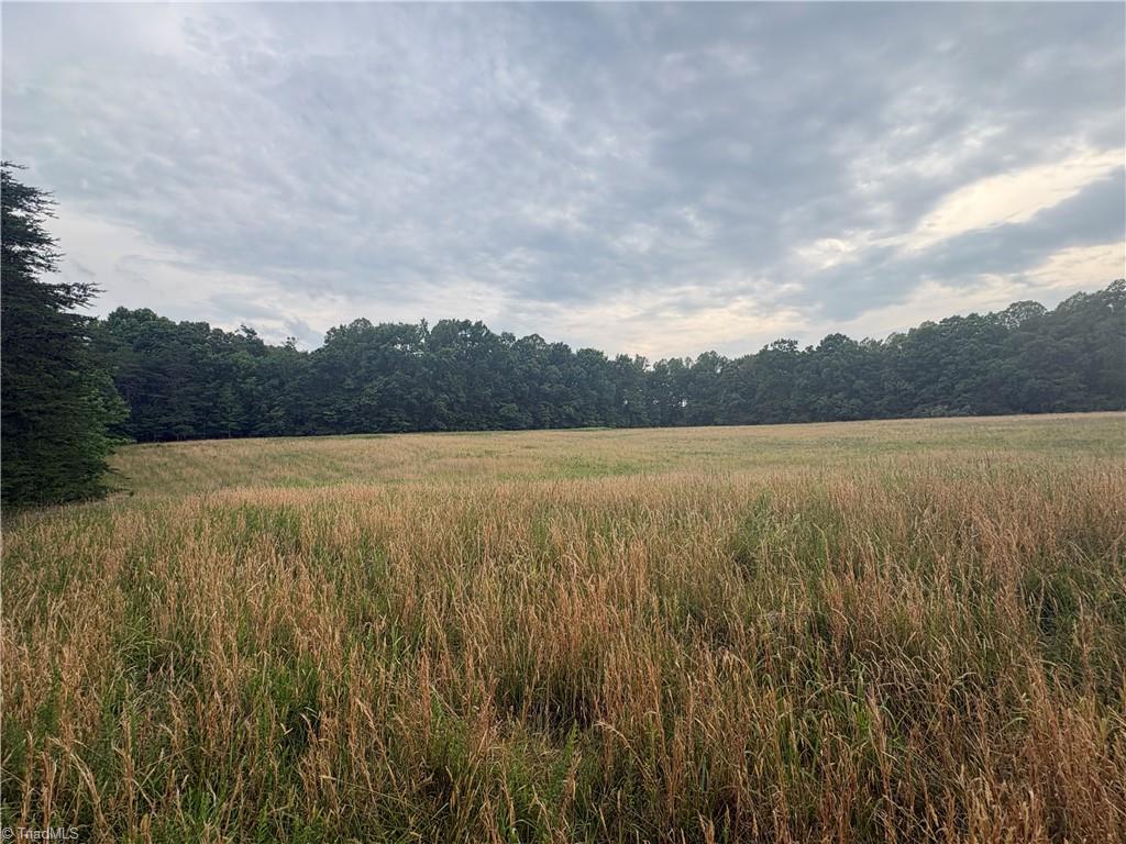 690 Goose Pond Road Ruffin, NC 27326 - Photo 10 of 17