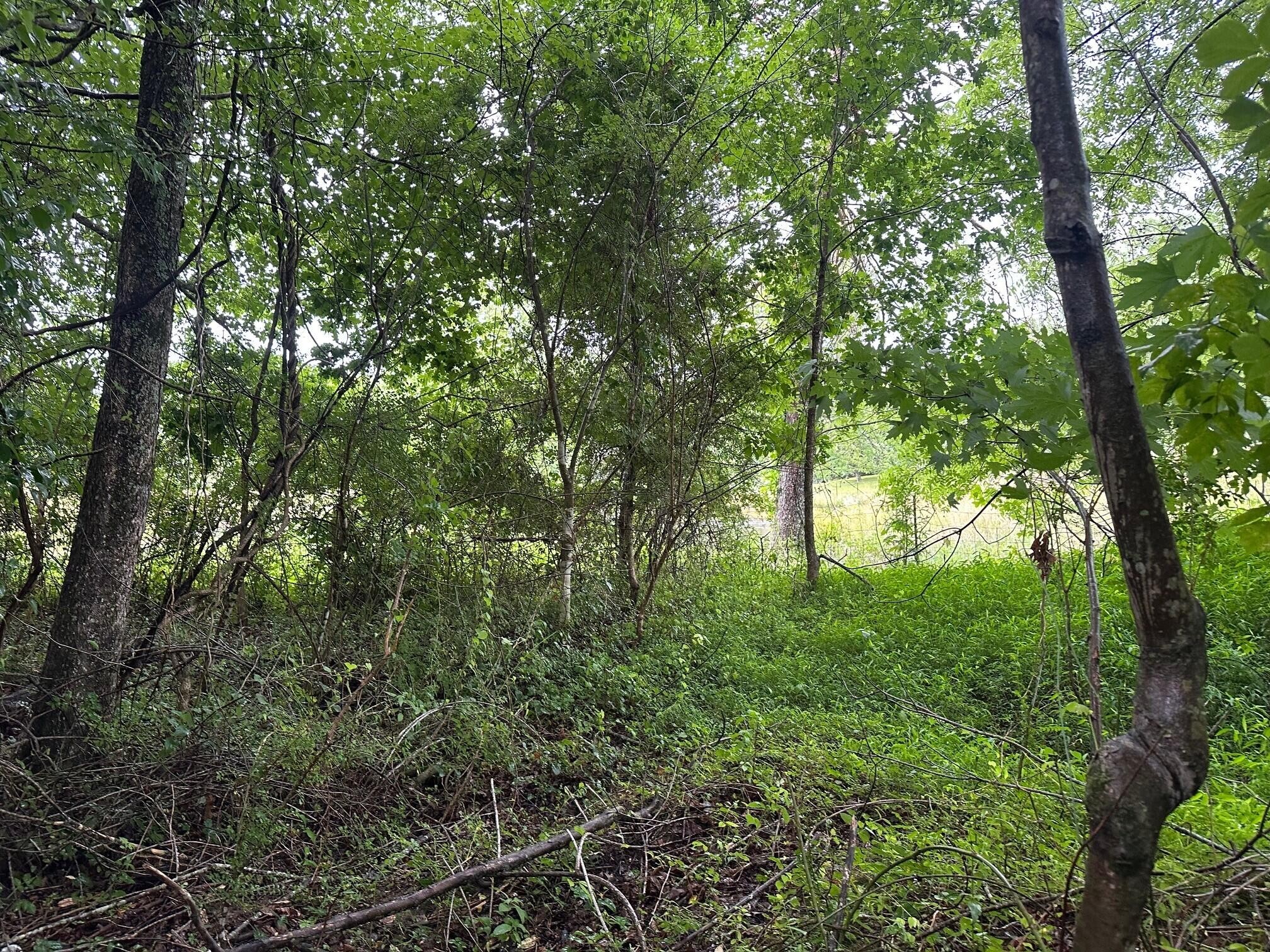 7 Sawmill Road Palmer, TN 37365 - Photo 1 of 12 Gallery Image 1