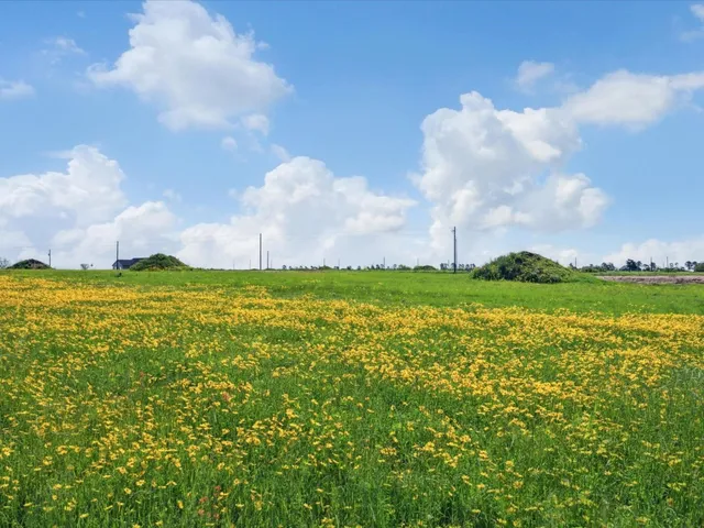 a view of a golf course with a lake