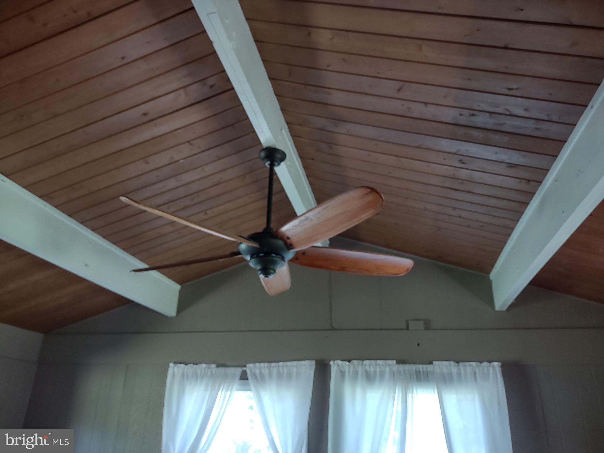 26927 Siloam Road Salisbury, MD 21801 - Photo 25 of 32 Cottage ceiling