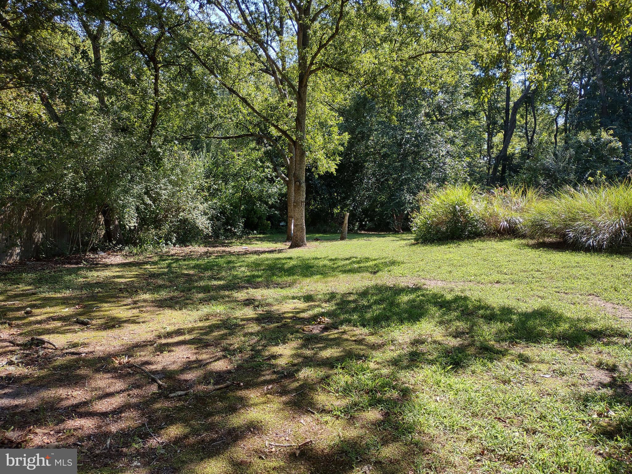 26927 Siloam Road Salisbury, MD 21801 - Photo 32 of 32 Backyard