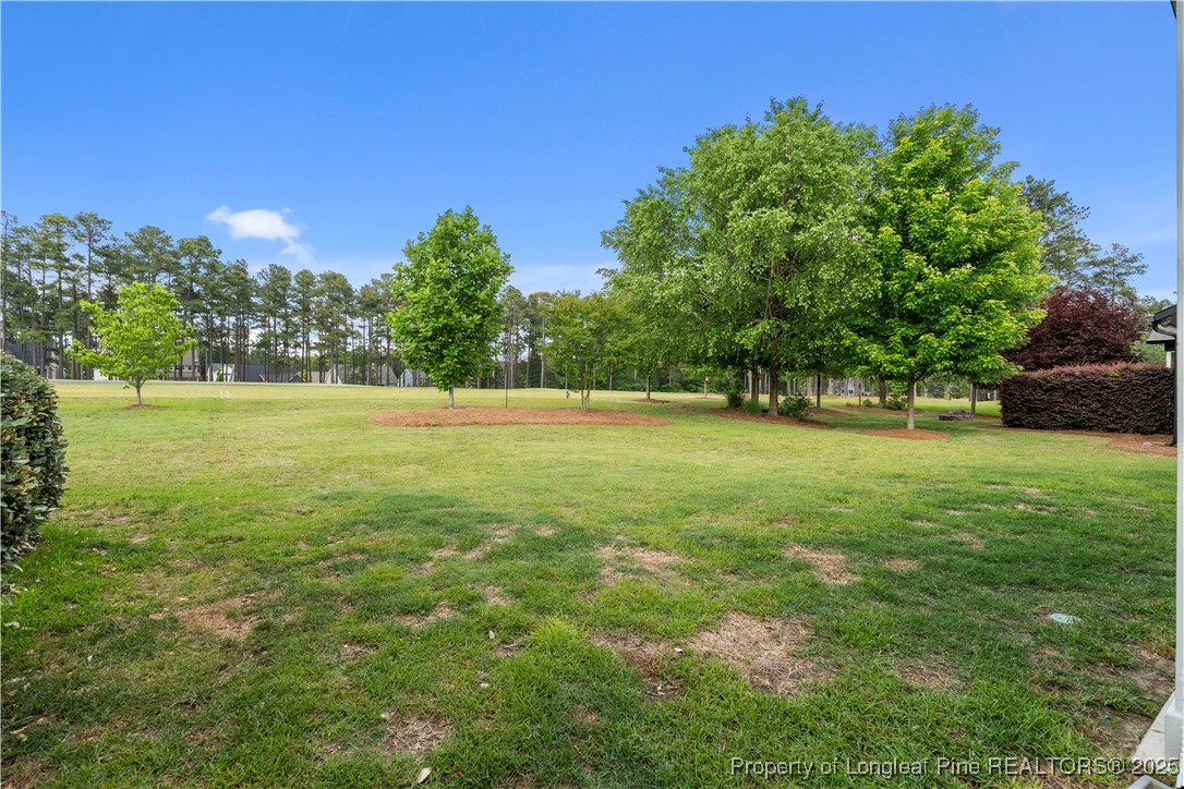 479 Kerr Lake Road Aberdeen, NC 28315 - Photo 29 of 43 a view of field with trees in the background