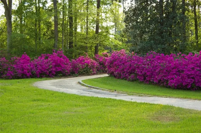 $1,049,000 | 10296 Highway 190, Hammond, LA 70403