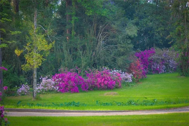 $1,049,000 | 10296 Highway 190, Hammond, LA 70403