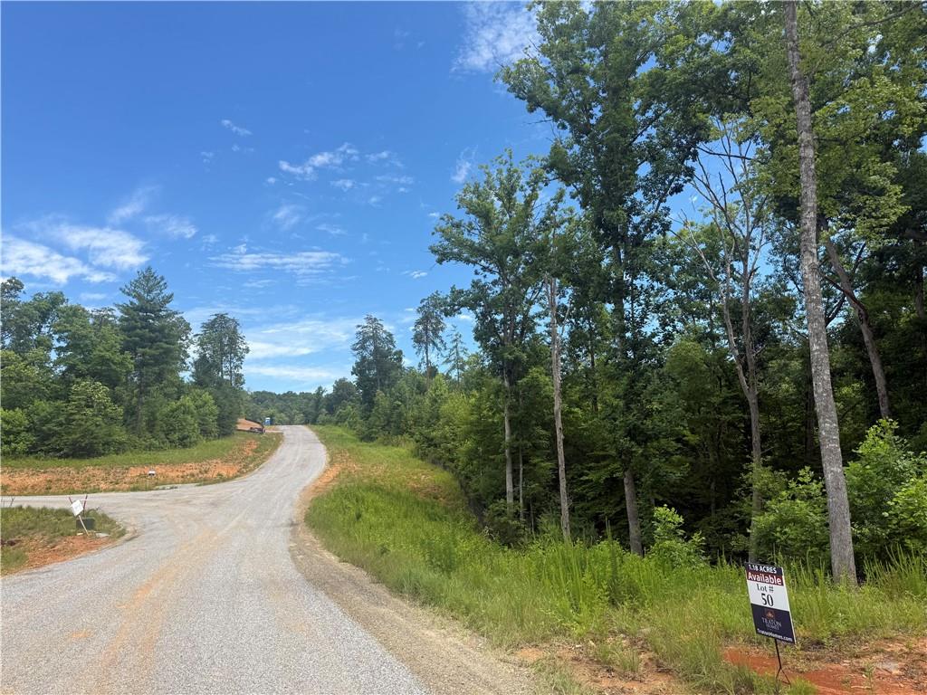 3 Mountain Road Morganton, GA 30560 - Photo 27 of 28