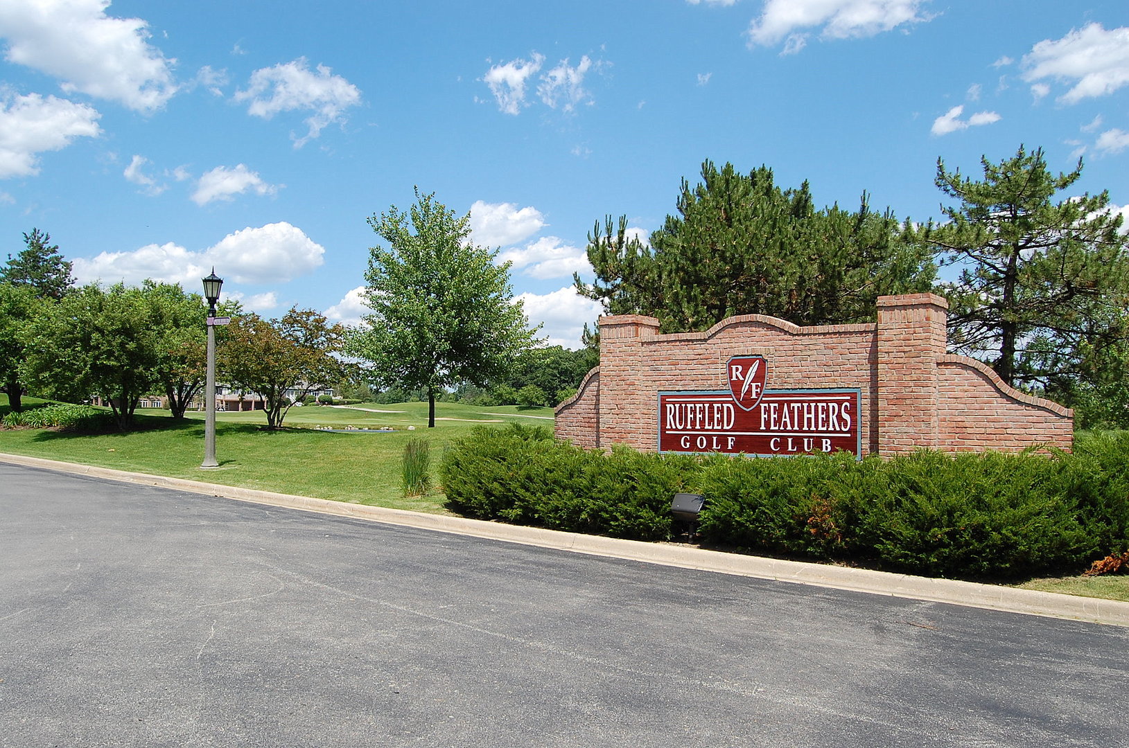115 Ruffled Feathers Drive Lemont, IL 60439 - Photo 15 of 26 a view of a house with a big yard and large trees