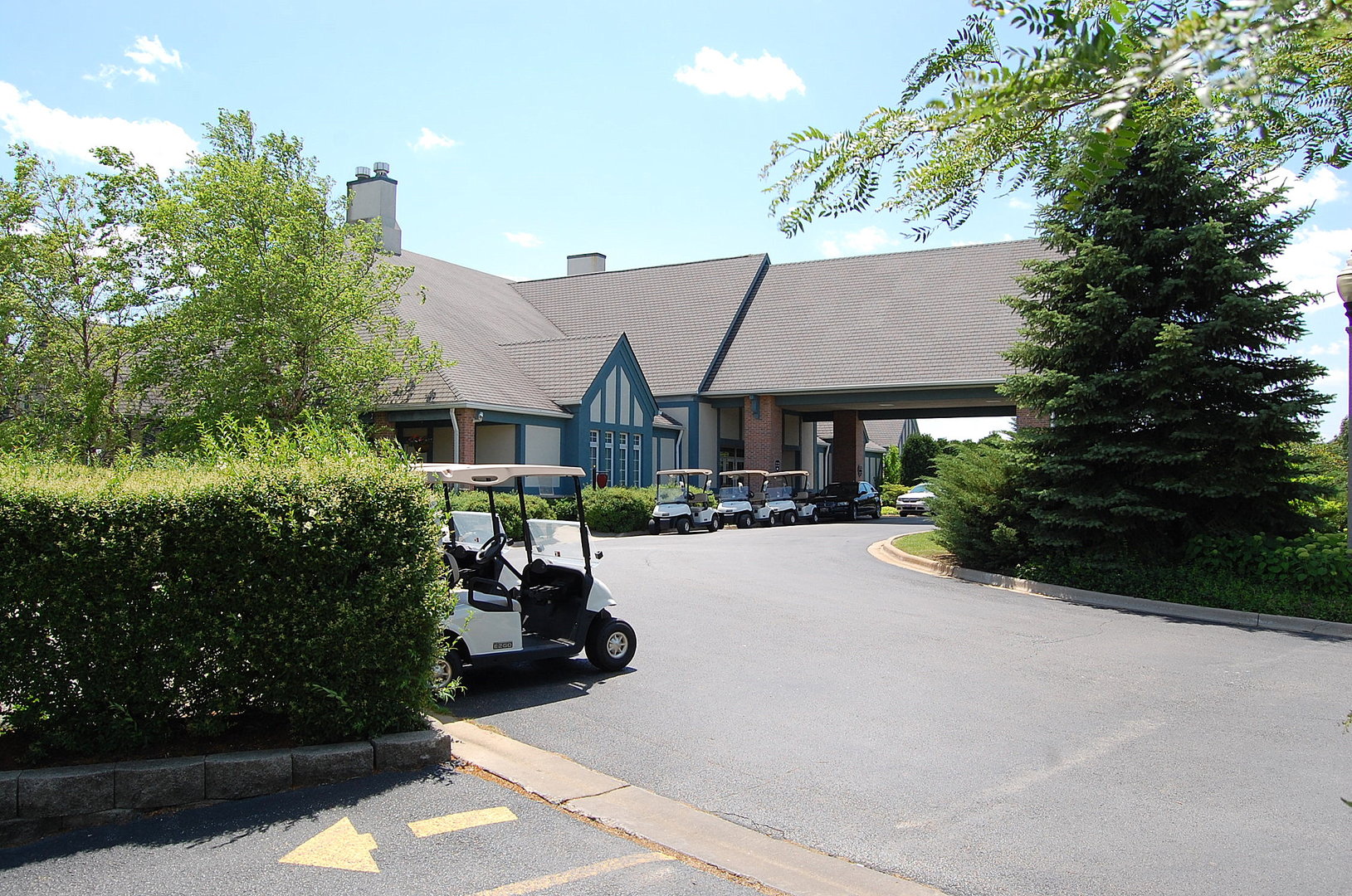 115 Ruffled Feathers Drive Lemont, IL 60439 - Photo 17 of 26 a house view with a outdoor space
