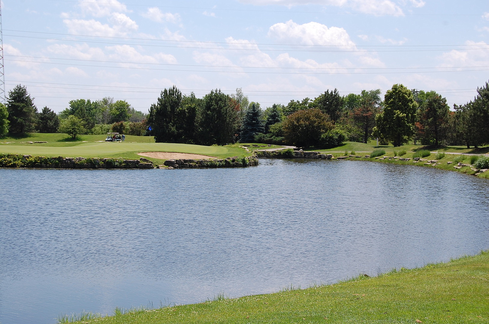115 Ruffled Feathers Drive Lemont, IL 60439 - Photo 21 of 26 a view of a lake with houses in the back