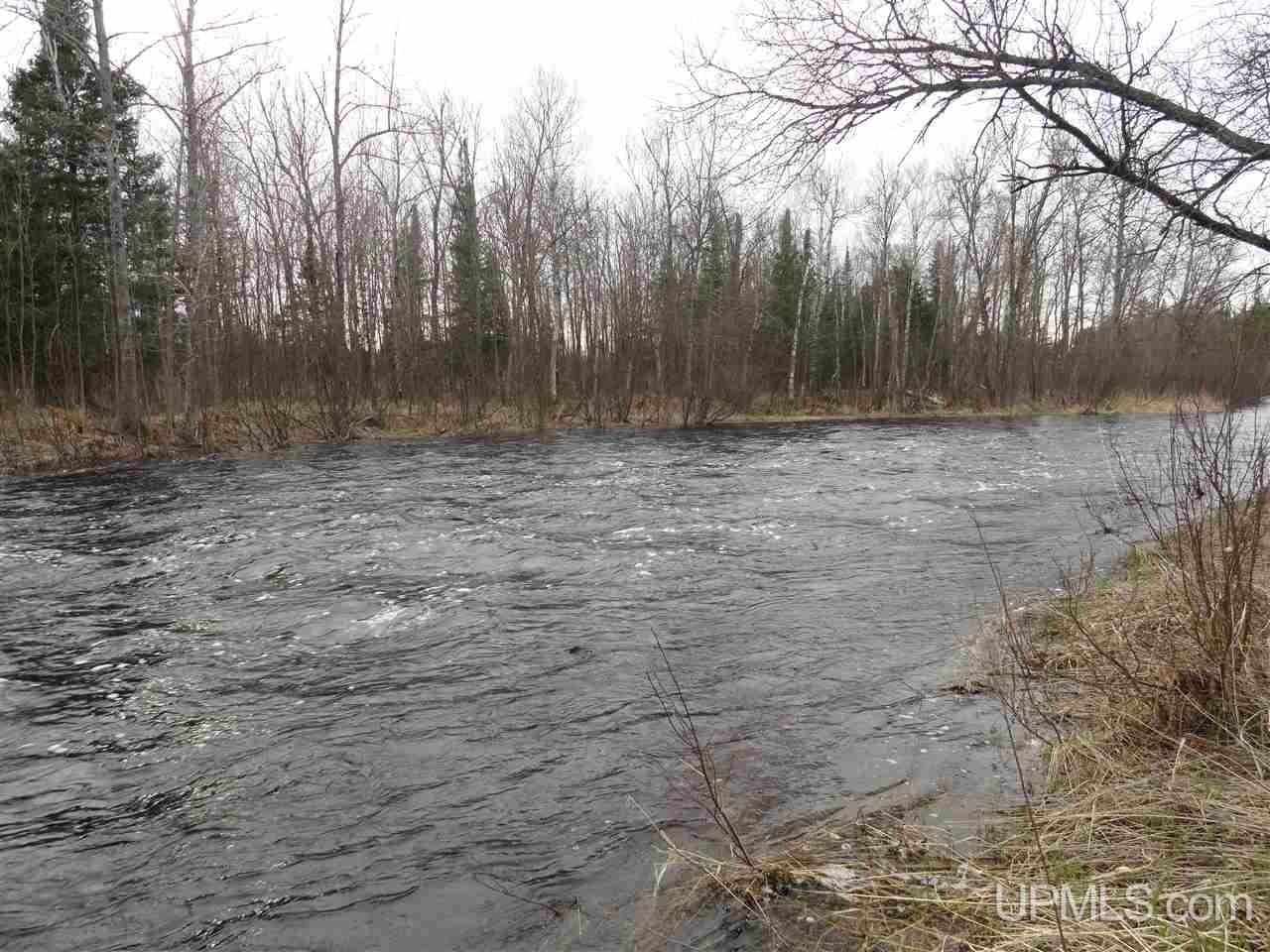 44-acres Ford River Road Arnold, MI 49831 - Photo 8 of 36