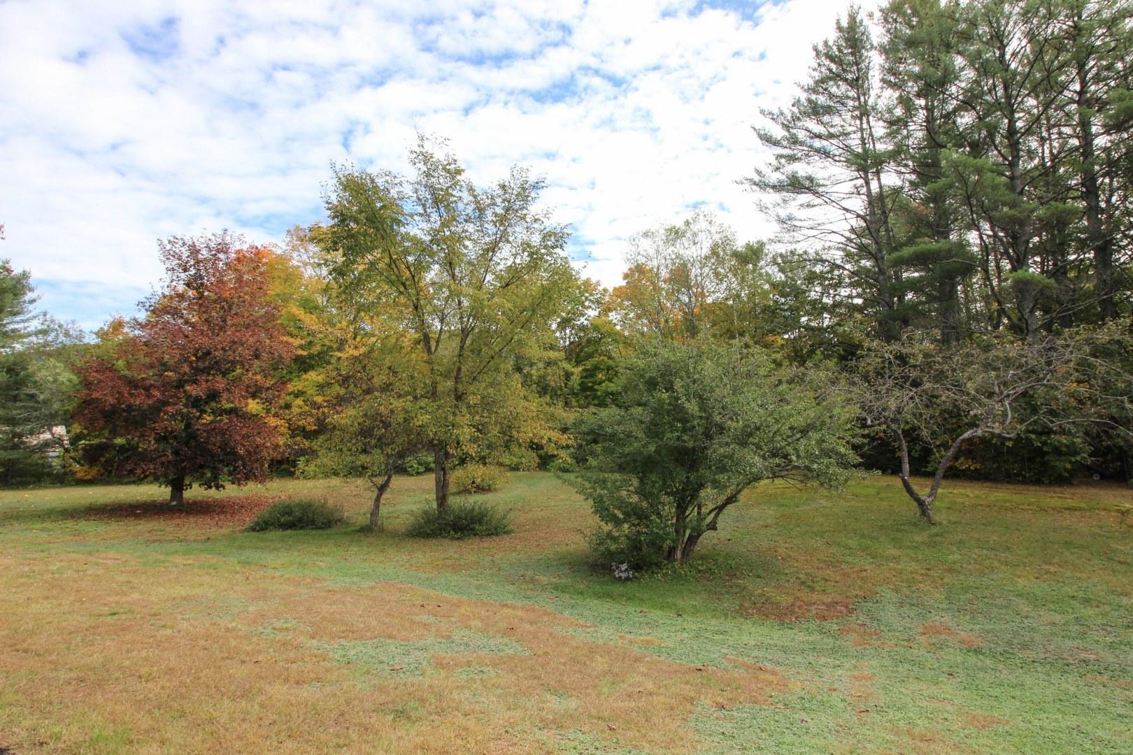 159 East Andover Road Rumford, ME 04276 - Photo 43 of 68 Left side of the lawn