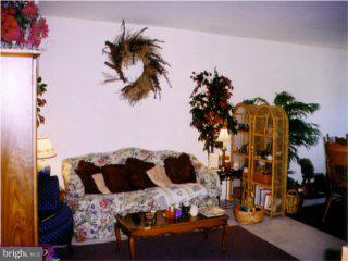 52 Moore Road Mohnton, PA 19540 - Photo 5 of 6