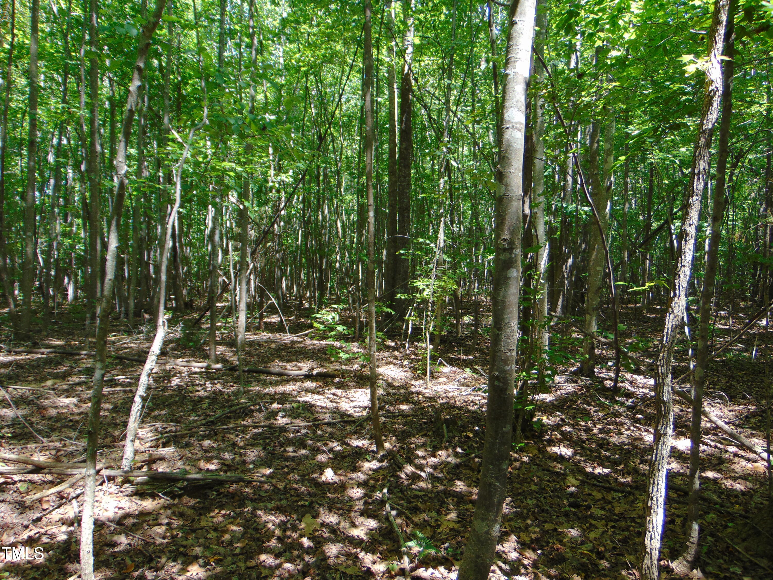 Lot 2 Hesters Store Road Roxboro, NC 27574 - Photo 4 of 11 a view of forest