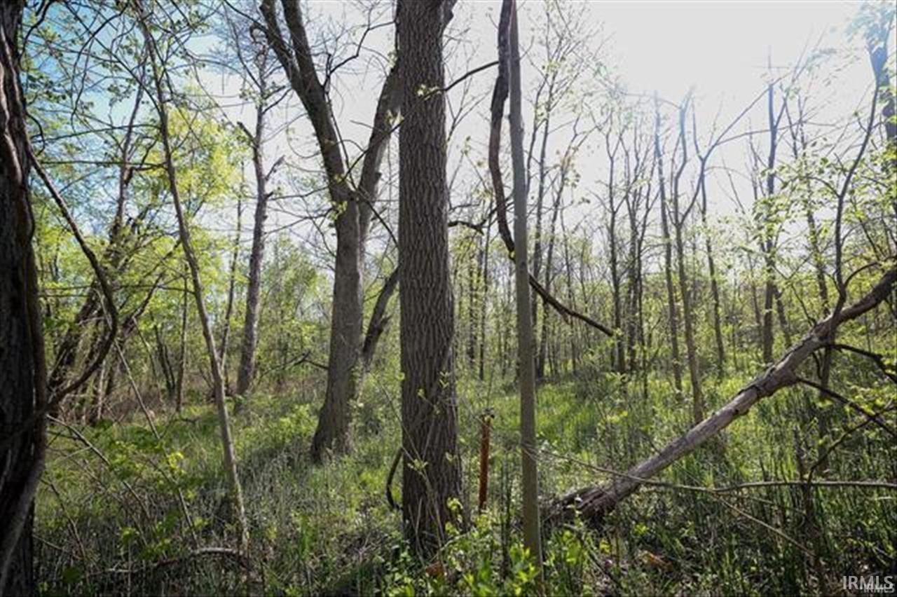 0 Sycamore Bend Rochester, IN 46975 - Photo 4 of 19 Gallery Image 4
